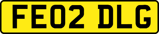 FE02DLG