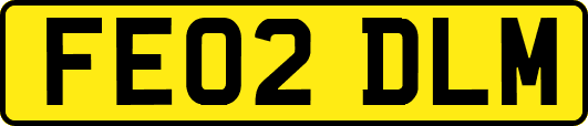 FE02DLM