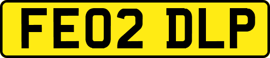 FE02DLP