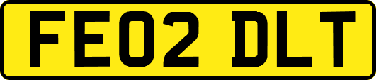 FE02DLT