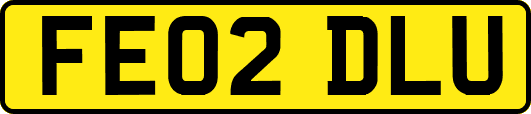 FE02DLU