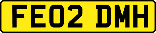 FE02DMH
