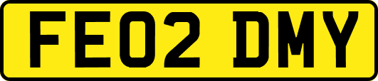 FE02DMY