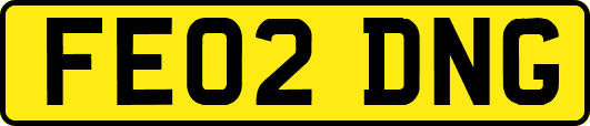 FE02DNG