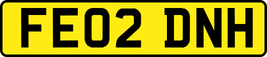 FE02DNH