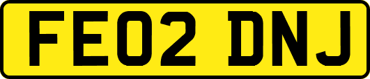 FE02DNJ