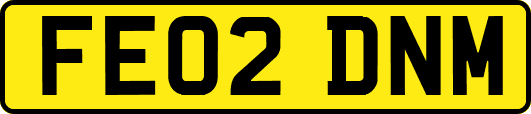 FE02DNM
