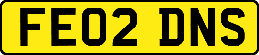 FE02DNS