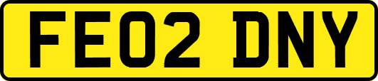 FE02DNY