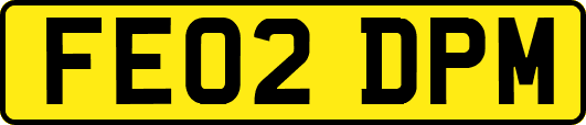 FE02DPM