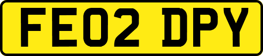 FE02DPY