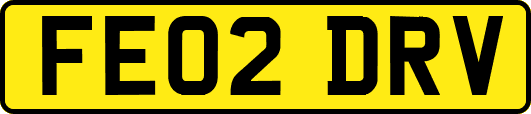 FE02DRV