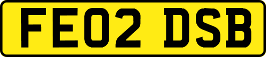 FE02DSB