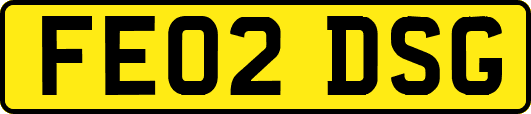FE02DSG