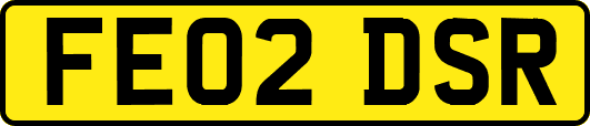 FE02DSR