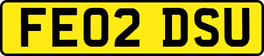 FE02DSU