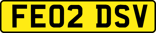 FE02DSV
