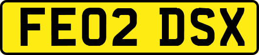 FE02DSX