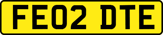 FE02DTE