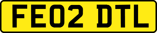 FE02DTL