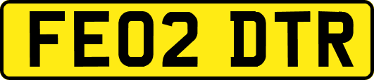 FE02DTR
