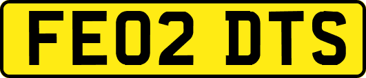 FE02DTS