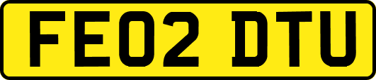 FE02DTU