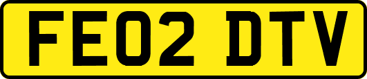 FE02DTV