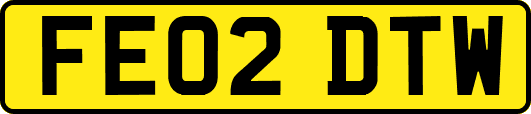 FE02DTW