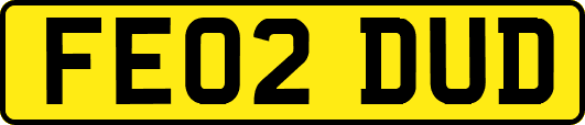 FE02DUD