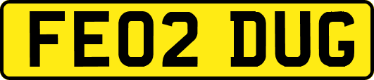 FE02DUG