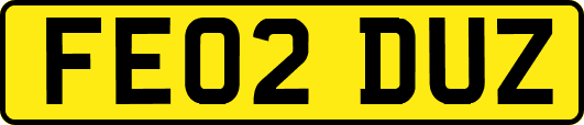 FE02DUZ