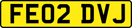 FE02DVJ