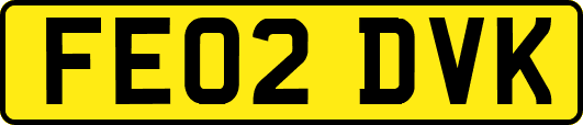 FE02DVK