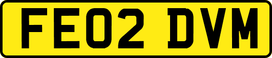 FE02DVM