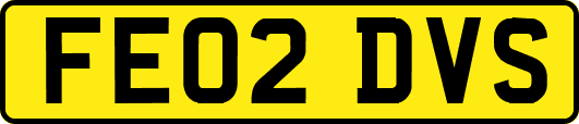 FE02DVS