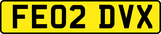 FE02DVX