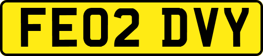 FE02DVY