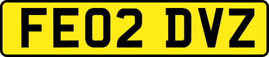FE02DVZ