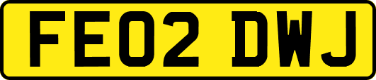 FE02DWJ