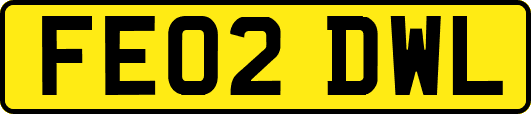 FE02DWL