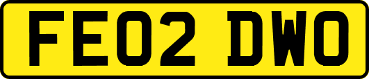 FE02DWO
