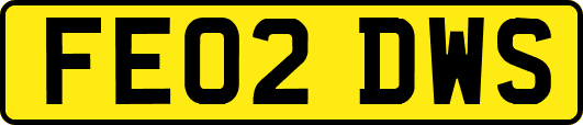 FE02DWS