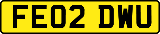 FE02DWU