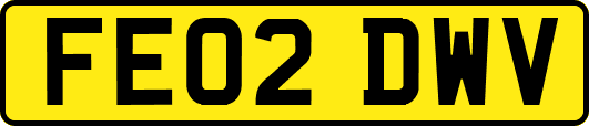 FE02DWV