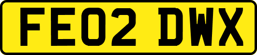 FE02DWX