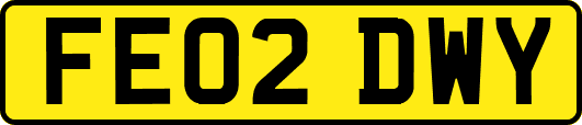 FE02DWY