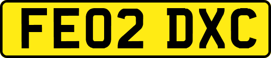 FE02DXC