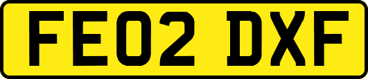 FE02DXF