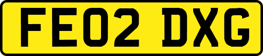 FE02DXG